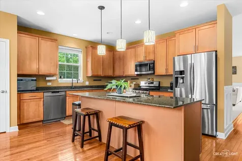 461 Mooresfield Street Elgin IL 60124