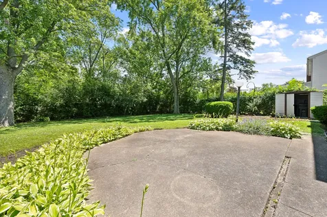 217 Willow Avenue Deerfield IL 60015