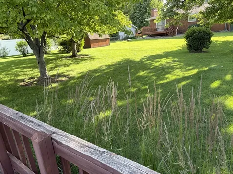 101 South Parkside Road Normal IL 61761