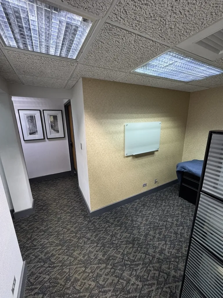 1016 Lunt Avenue Schaumburg IL 60193