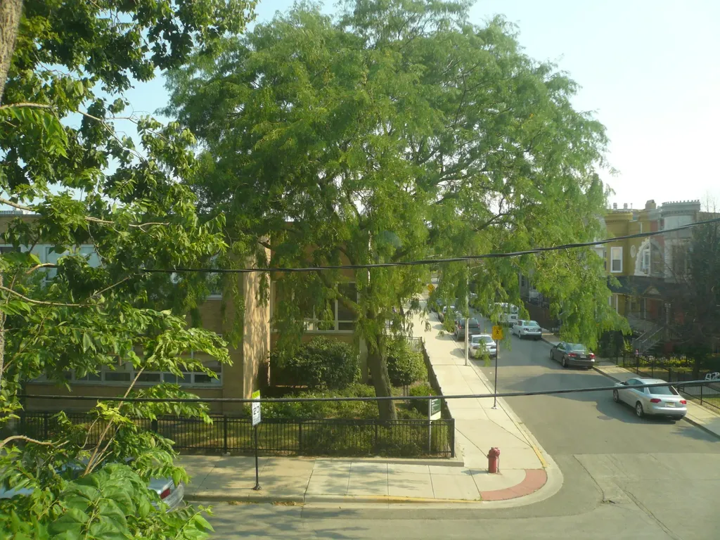 1132 East 44th Street Chicago IL 60653