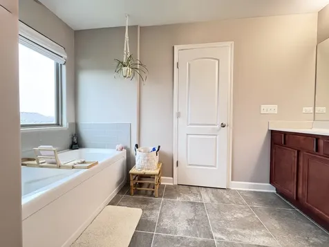21010 Lakewoods Lane Shorewood IL 60404
