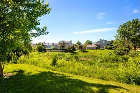 375 Juniper Tree Court Hoffman Estates IL 60169