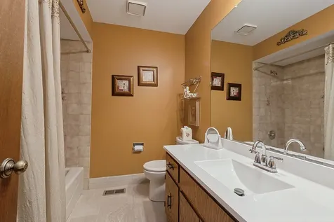 12551 West Martingale Lane Homer Glen IL 60491