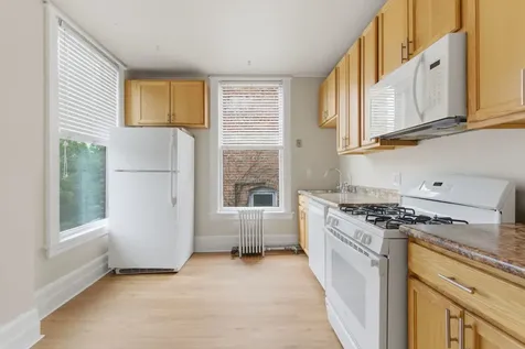 315 South Maple Avenue Oak Park IL 60302