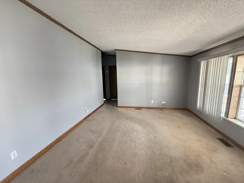 25751 Olympic Drive Monee IL 60449