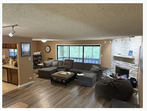11211 Sycamore Lane Palos Hills IL 60465