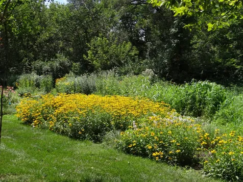 215 Wildflower Lane La Grange IL 60525