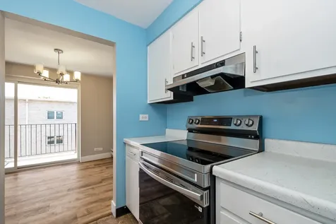 4113 West 97th Place Oak Lawn IL 60453