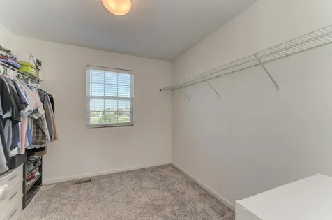 1515 Elysium Drive Minooka IL 60447
