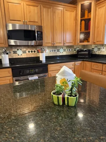 7533 West Carmen Avenue Harwood Heights IL 60706