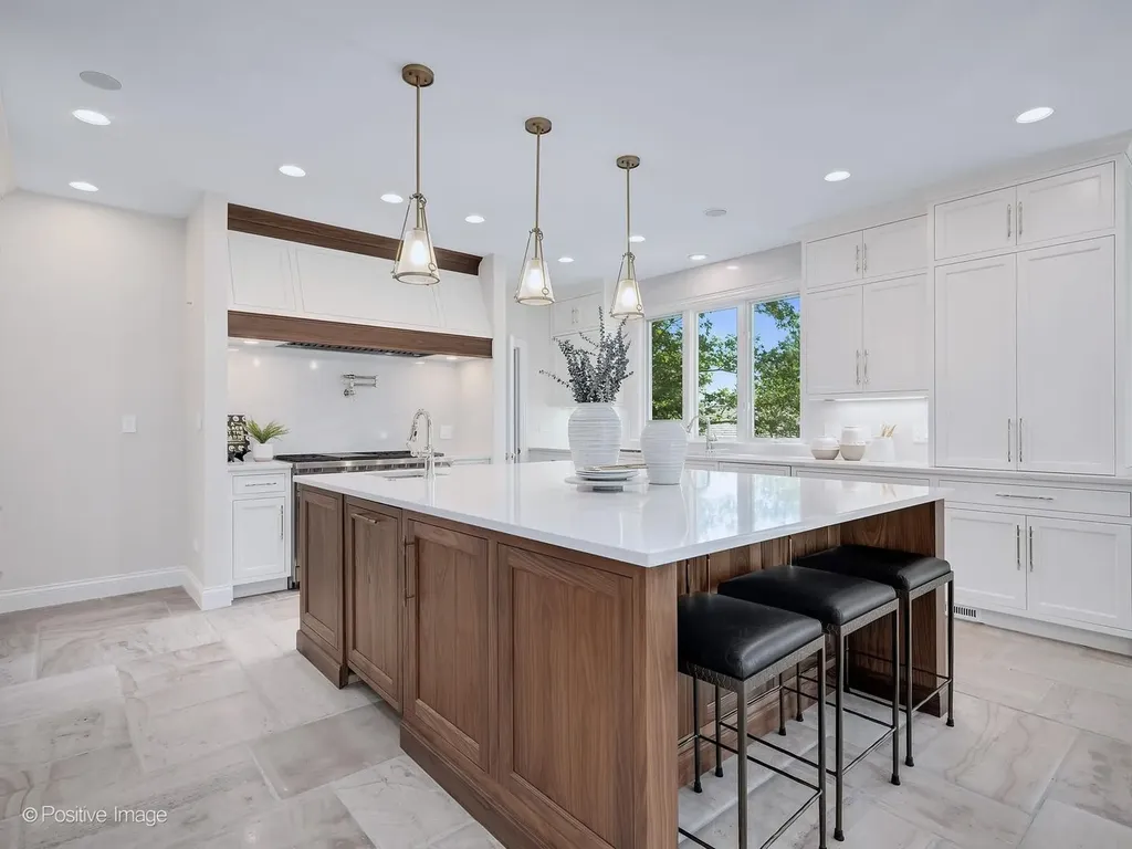 20 Natoma Drive Oak Brook IL 60523