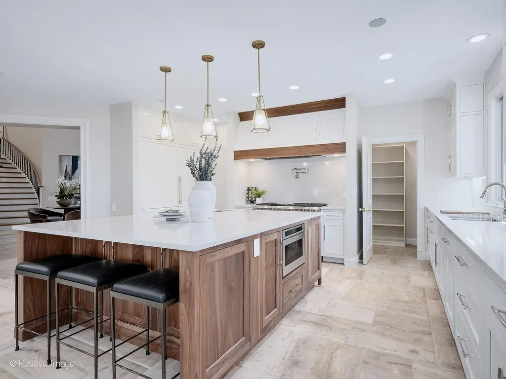 20 Natoma Drive Oak Brook IL 60523