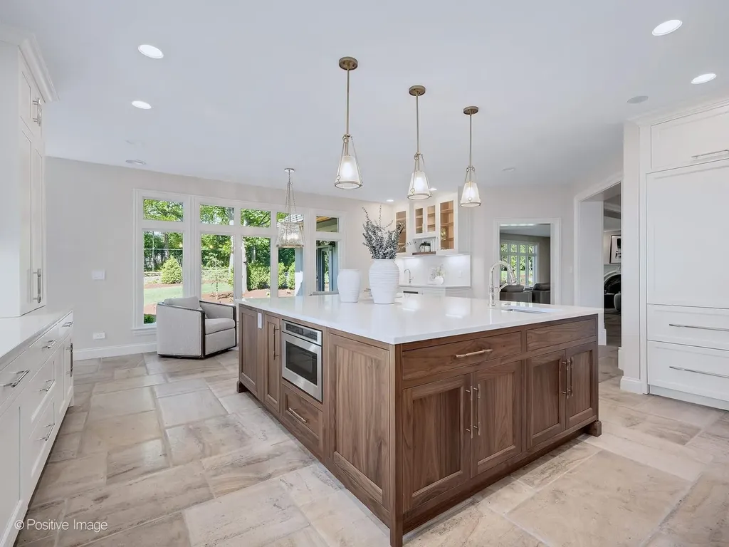 20 Natoma Drive Oak Brook IL 60523
