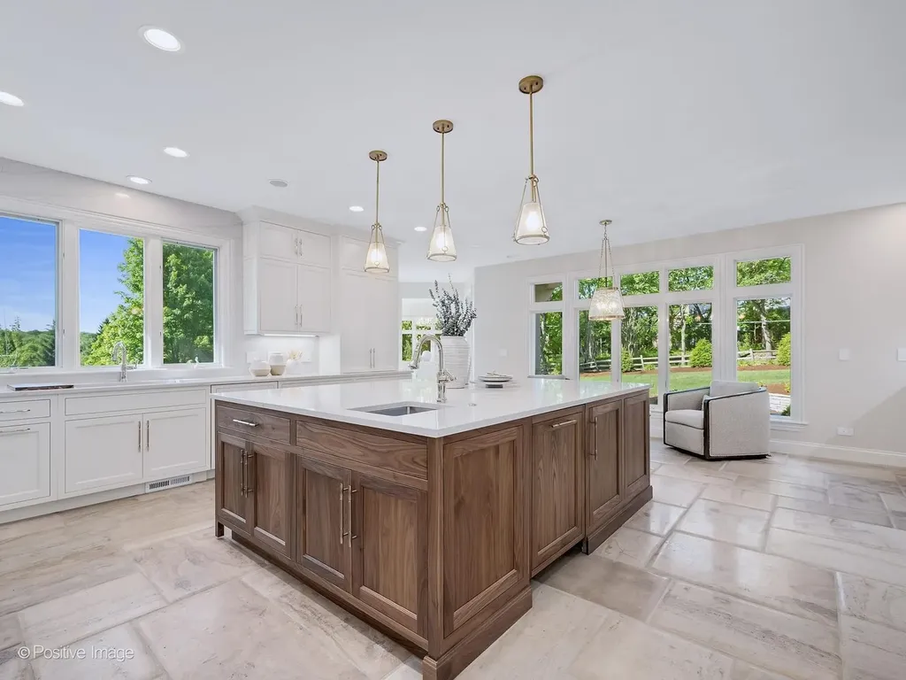 20 Natoma Drive Oak Brook IL 60523