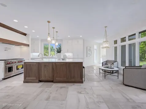 20 Natoma Drive Oak Brook IL 60523