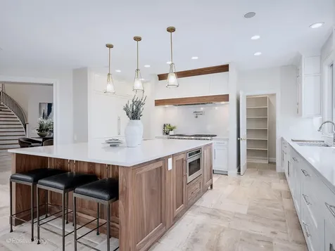 20 Natoma Drive Oak Brook IL 60523