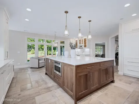 20 Natoma Drive Oak Brook IL 60523