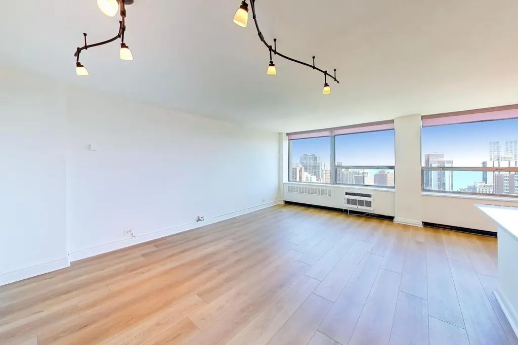 1355 North Sandburg Terrace Chicago IL 60610