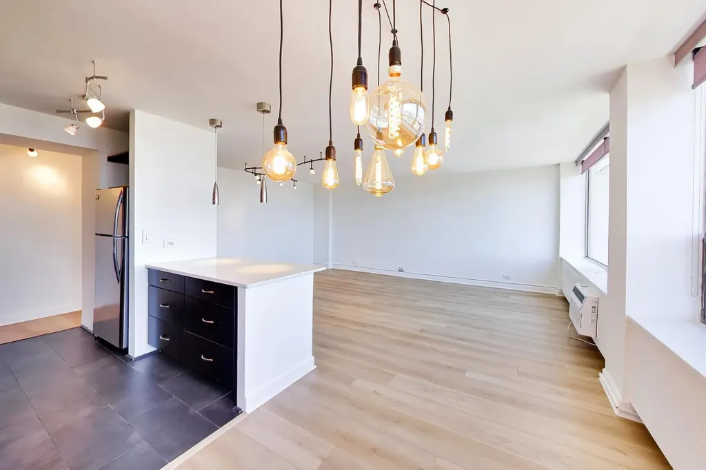 1355 North Sandburg Terrace Chicago IL 60610