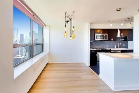 1355 North Sandburg Terrace Chicago IL 60610