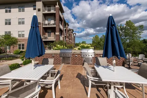21599 West Field Court Deer Park IL 60010
