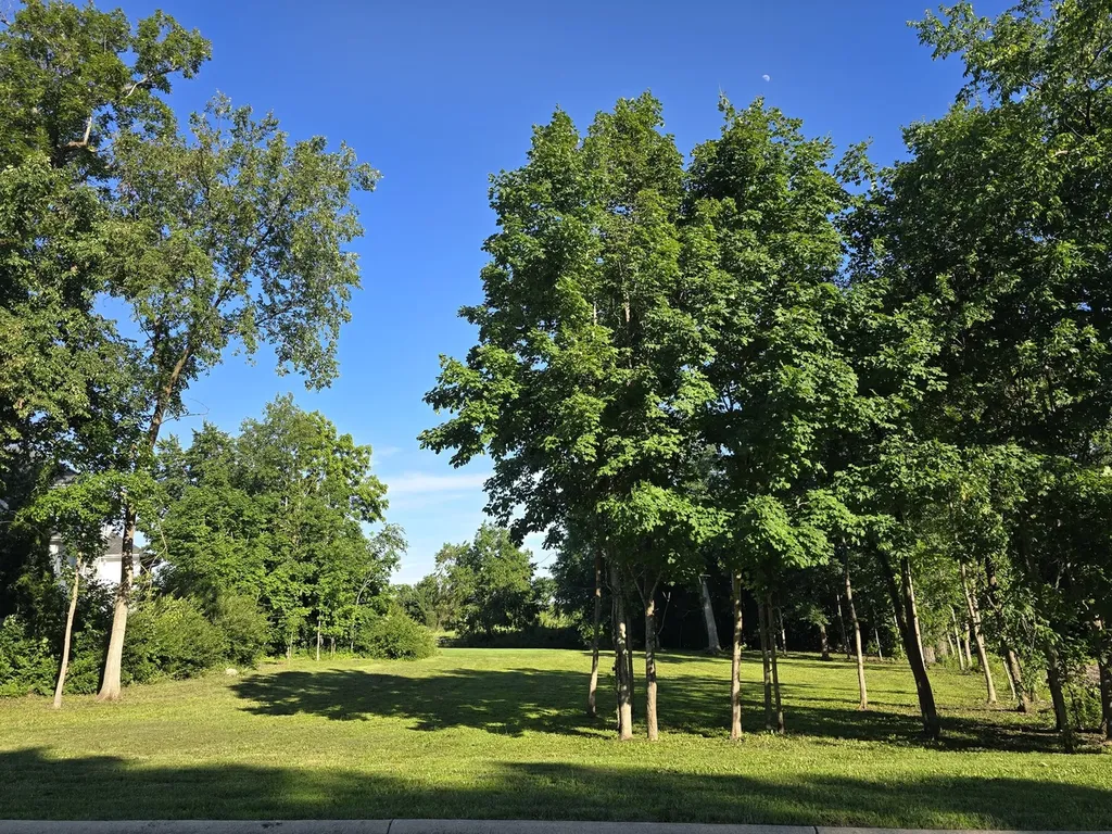 7146 Ironwood Court Yorkville IL 60560
