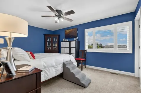 20012 South Sycamore Drive Frankfort IL 60423