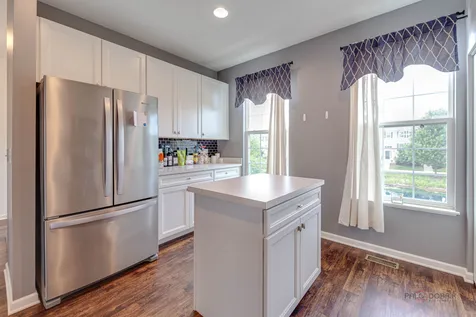 582 Cannonball Drive Grayslake IL 60030
