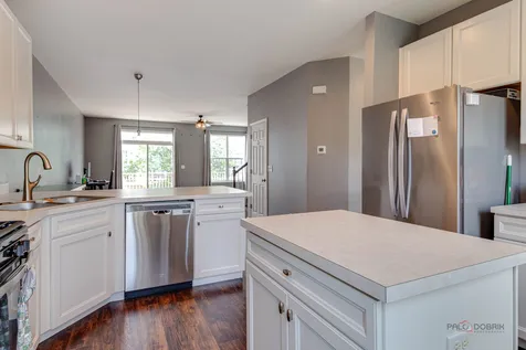 582 Cannonball Drive Grayslake IL 60030