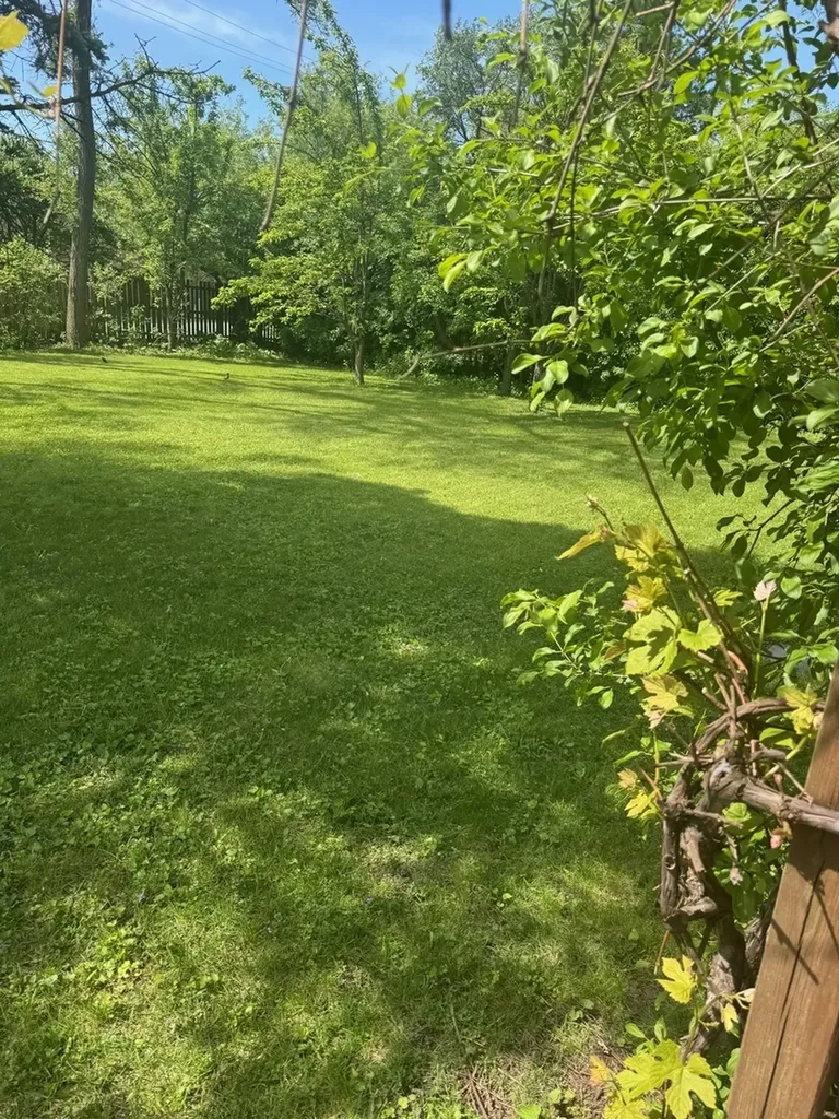 1505 65TH Place Indian Head Park IL 60525