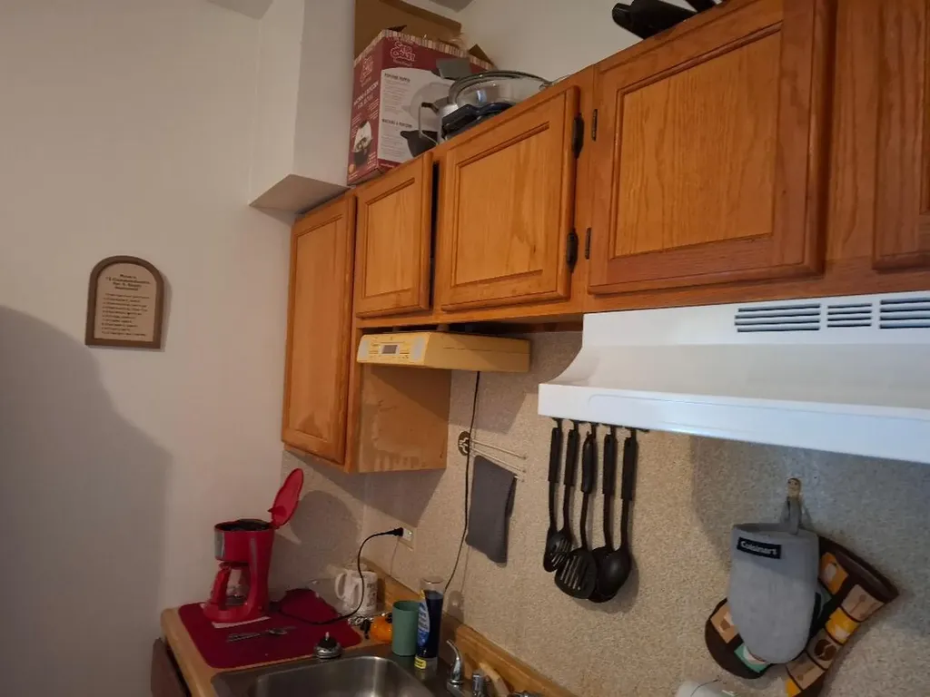 4419 South Princeton Street S Chicago IL 60609