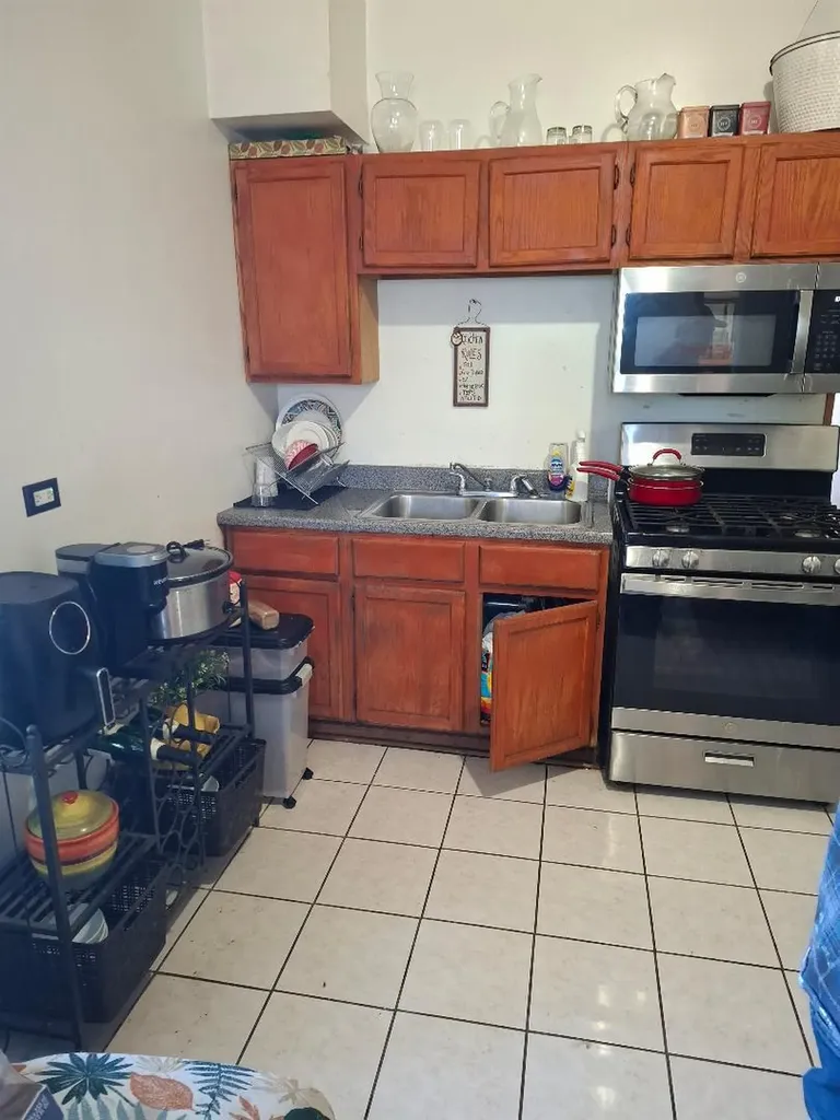 4419 South Princeton Street S Chicago IL 60609