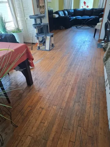 4419 South Princeton Street S Chicago IL 60609