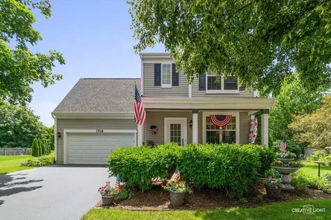 2516 Concord Court Montgomery IL 60538