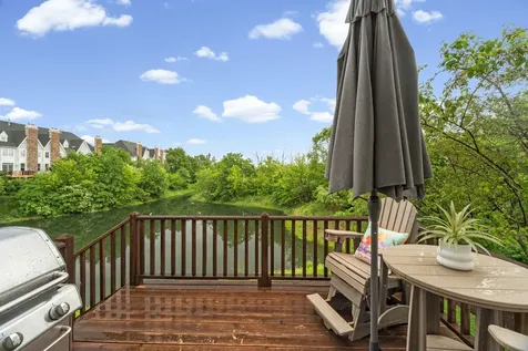 20431 North Joshua Court Deer Park IL 60010