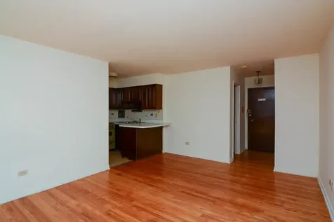 2629 North Hampden Court Chicago IL 60614