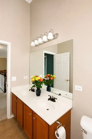 2198 Sutton Drive South Elgin IL 60177