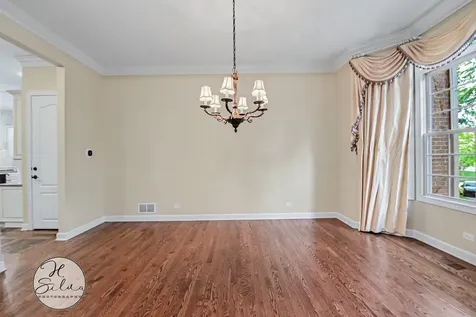 426 West Haley's Hill Court Palatine IL 60067