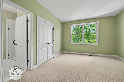 426 West Haley's Hill Court Palatine IL 60067