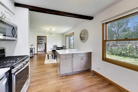 545 Ramblewood Court Lake Zurich IL 60047