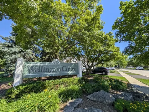 1339 Cranbrook Court Schaumburg IL 60193