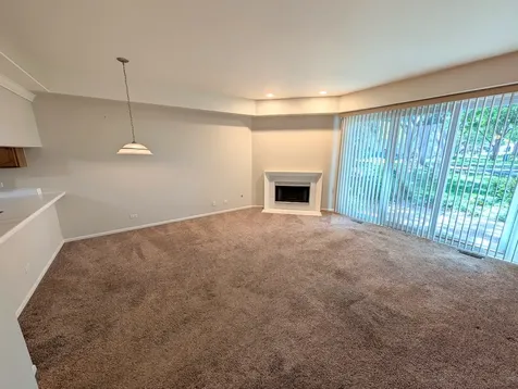 1339 Cranbrook Court Schaumburg IL 60193