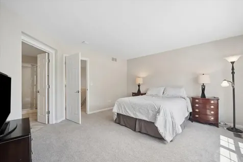 294 Larsdotter Lane Geneva IL 60134
