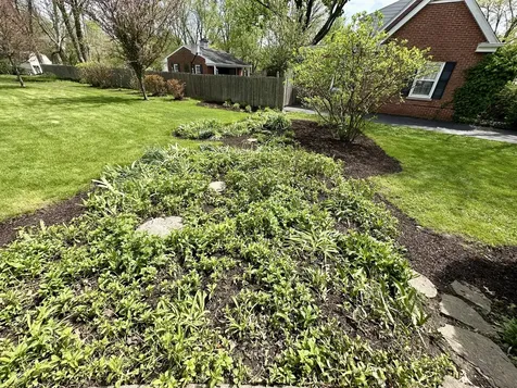 1319 Bunker Avenue Flossmoor IL 60422