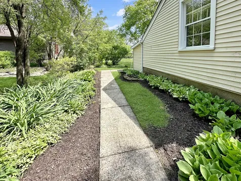 1319 Bunker Avenue Flossmoor IL 60422