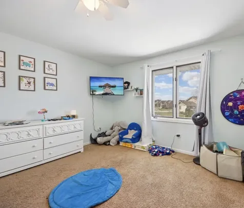 19328 Woodfield Court Tinley Park IL 60487