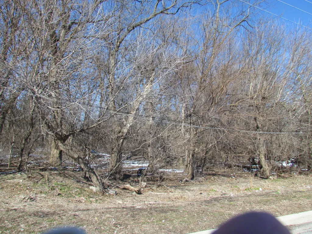 LOT 10 Grandlake Boulevard West Chicago IL 60185