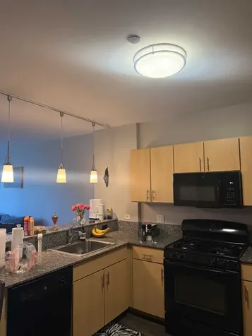 1209 West Arthur Avenue Chicago IL 60626