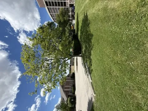 00 Uno Circle Joliet IL 60435
